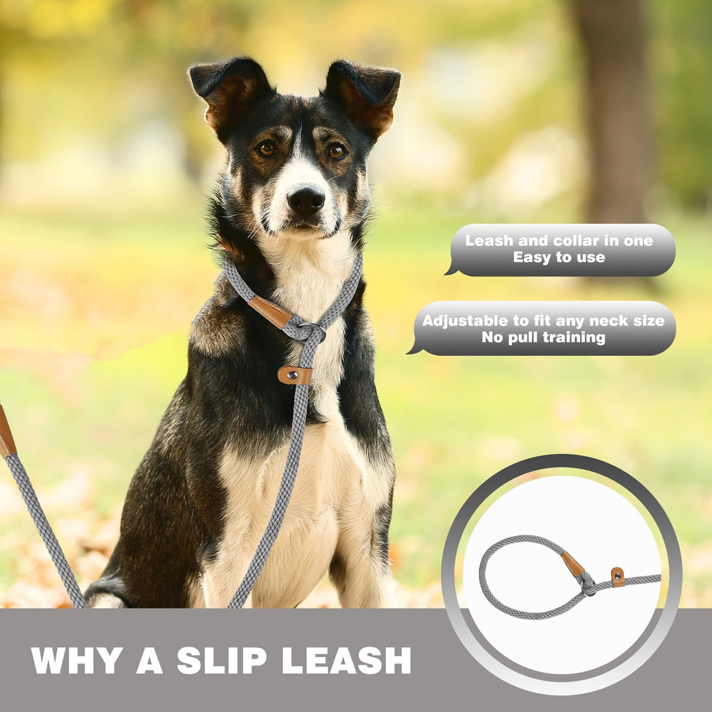 Durable Nylon Dog Leash for Small, Medium, and Large Dogs - Heavy Duty Woven Training Leash S-XL, 8 Colors, Strong Comfortable Handle Dog Walking Lead