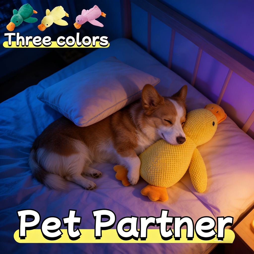 9" Duck Plush Squeaky Dog Toy - Interactive Chewable Stuffed Animal for Dogs & Cats, 3 Colors, Bite-Resistant Squeak Toy for All Breeds, Cute Soft Pet Plush Toy for Play & Comfort
