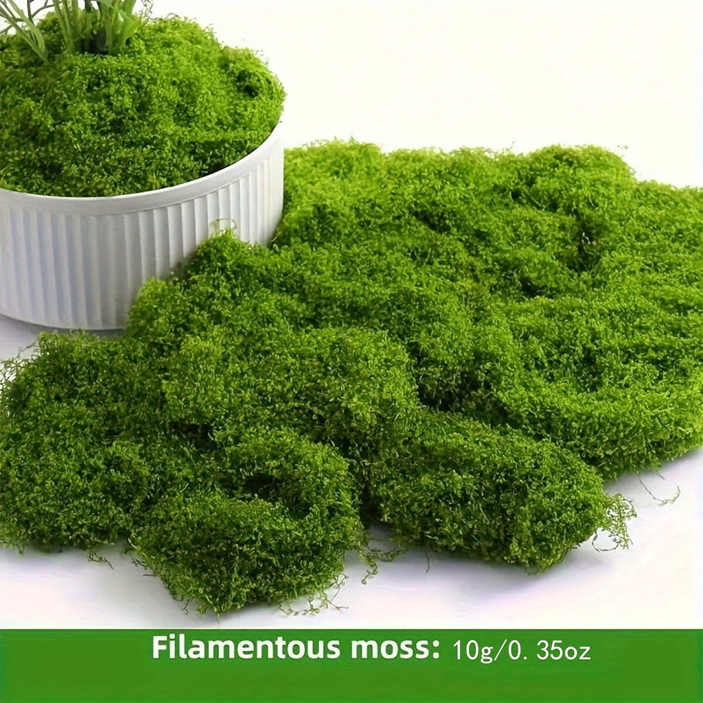 Realistic Artificial Moss for Terrariums, Miniatures, and Landscapes - Faux Moss for Potted Plants, Dollhouses, Dioramas, Model Railroads, Aquariums, and Miniature Ecosystems, Low Maintenance, 4 Sizes from 0.35oz to 3.52oz