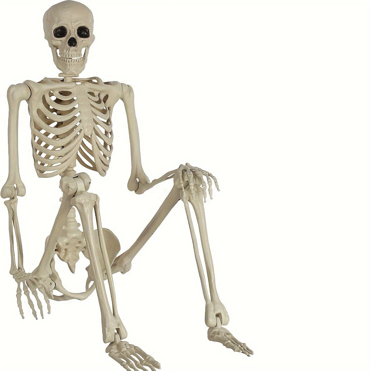 5.4Ft Life-Size Adjustable Human Adult Skeleton - Plastic Bones, Movable Joints - Halloween Decoration & Haunted House Prop