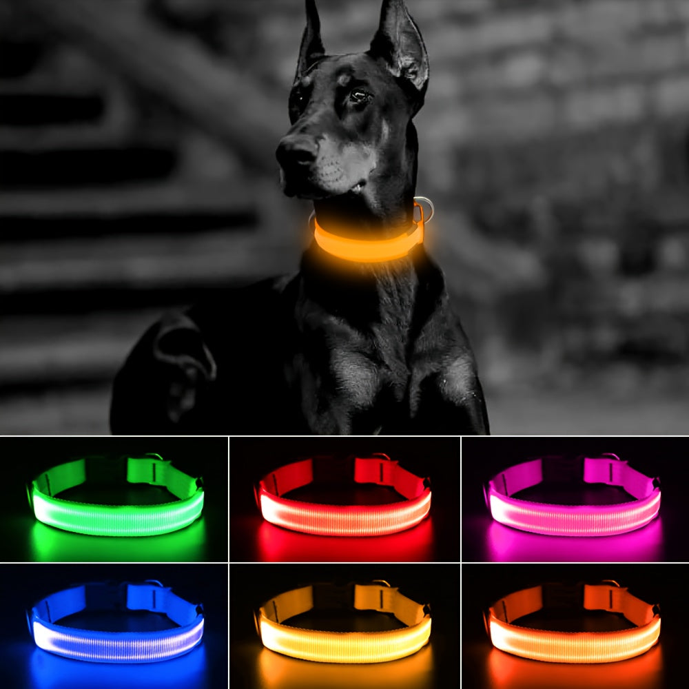 LED Dog Collar, USB Rechargeable - Adjustable Nylon Glow Safety Collar with D-Ring Buckle for Small, Medium, and Large Dogs, High-Visibility Night Walking Collar