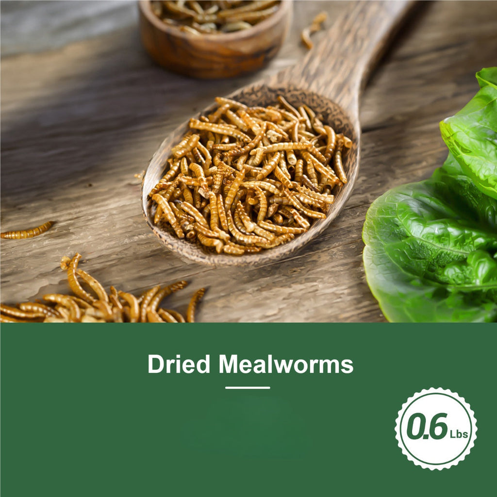 Dried Mealworms for Chickens, Wild Birds, and Ducks – High-Protein Natural Pet Food for Hens, Turtles, Fish, Lizards, and Hamsters, Non-GMO Dried Insect Animal Feed, Multiple Sizes 0.6–40 lbs