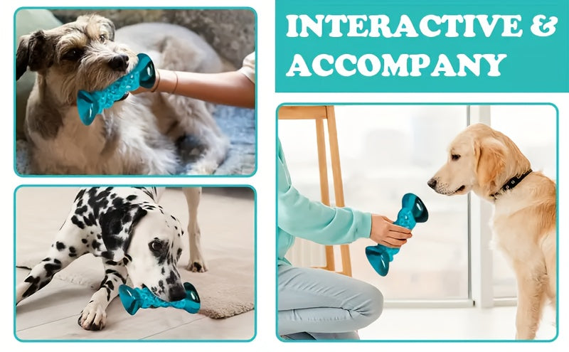 Durable Nylon Dog Chew Toy, Anxiety Relief and Boredom Buster, Indestructible Pet Toy for Small, Medium, and Large Dogs, Aggressive Chewers, Standard and Large Sizes, Keeps Dogs Busy and Relieves Stress