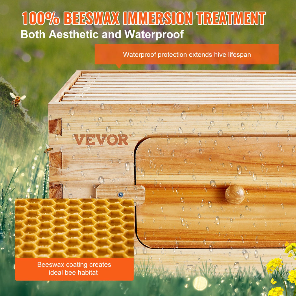 Langstroth Beehive Starter Kit, 0.74" Cedar Wood, 100% Beeswax Coated, 10 ABS Frames & Cedar Brood Frames, Acrylic Observation Windows, Dovetail Joinery, Ventilation Ports, for Beginner & Pro Beekeepers
