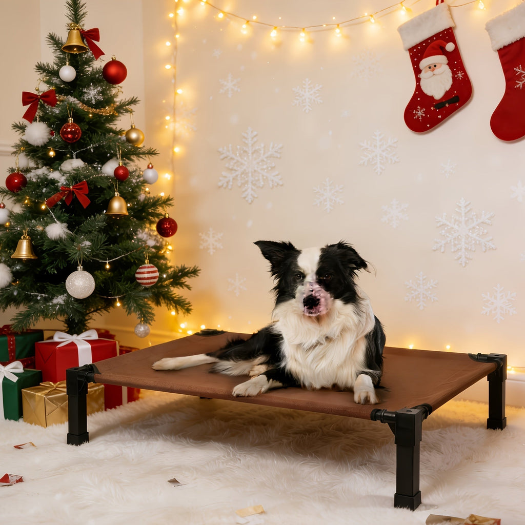Cooling Elevated Dog Bed, Raised Cot with Breathable Mesh and Metal Frame - Washable Portable Dog Cot with Non-Slip Feet for Indoor and Outdoor Use, Multiple Sizes and Colors Available