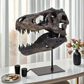 T-Rex Skull Replica Handcrafted Resin Dinosaur Skeleton Model, Realistic Detailed Textures, Indoor Outdoor Home Office Desk Decor, Durable No-Electricity Display, Gift for Dinosaur Enthusiasts