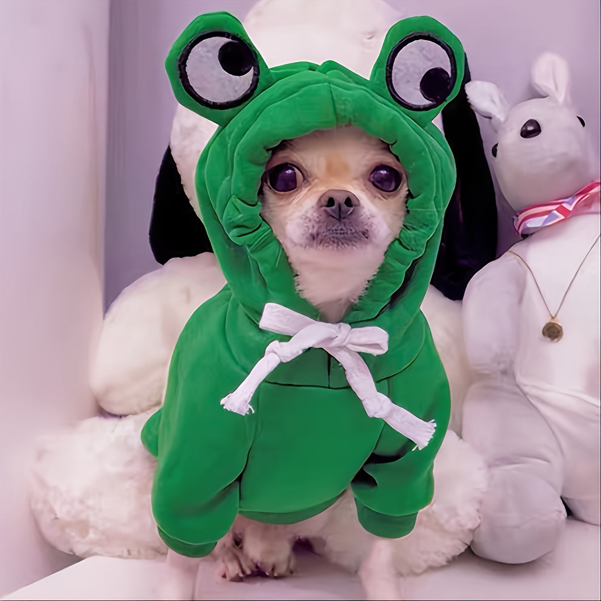 Frog Hoodie Dog Sweatshirt for Small and Medium Dogs - Warm Cozy Dog Hoodie for Cold Weather, Cute Frog Costume Dog Clothes in 4 Colors & Sizes S-XXL for Chihuahua, Pomeranian, Corgi, and Dachshund