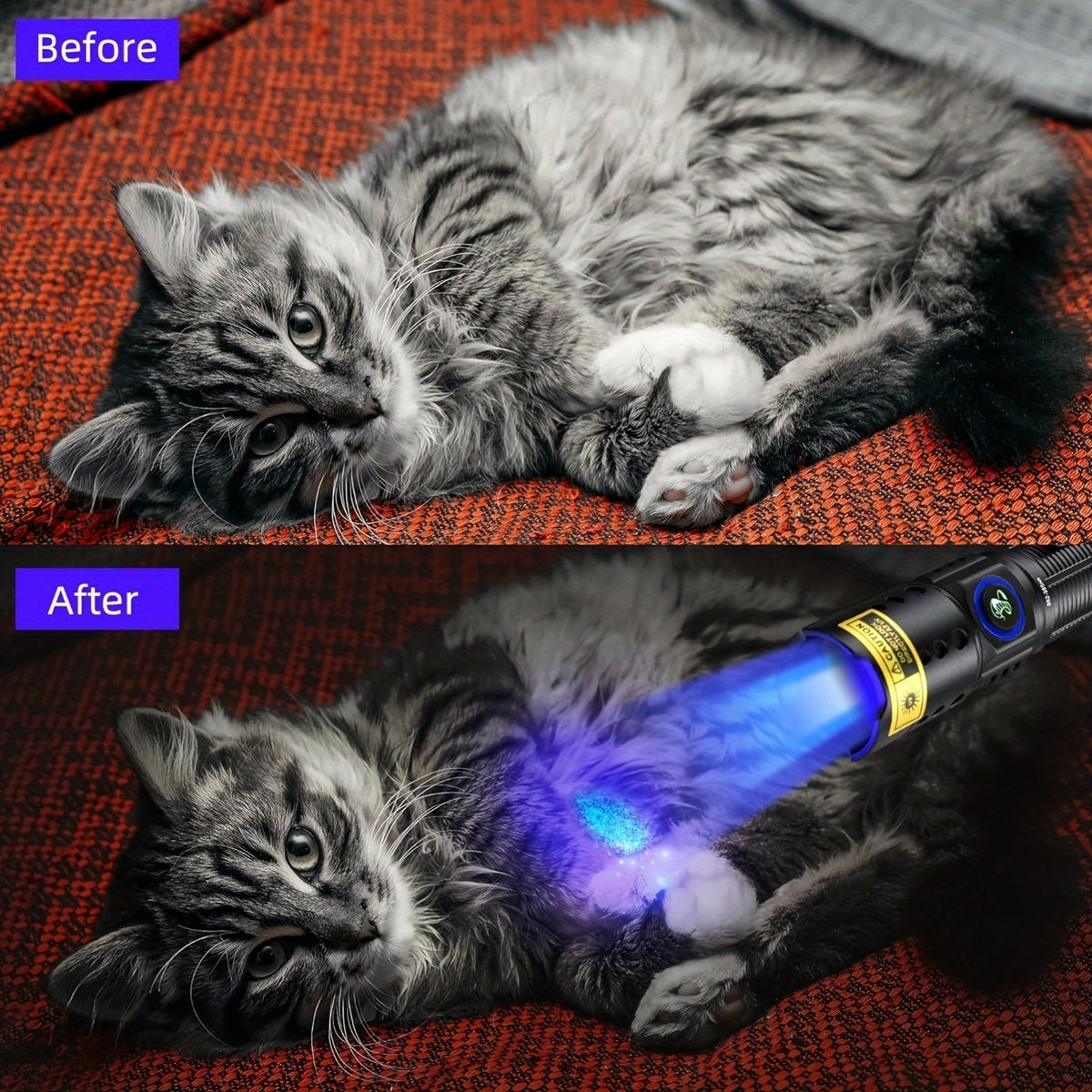 UV Blacklight Flashlight 395nm Portable Ultraviolet Light for Counterfeit Detection, Pet Urine Stain, Scorpion Hunting, and Ringworm Detection, Multi-Pack (4/6/8/12 pcs), AAA Battery Powered