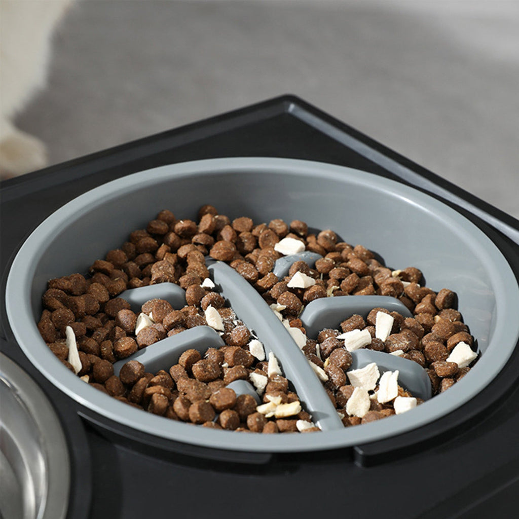 Personalized Elevated Stainless Steel Dog Bowl with Slow Feeder and Height-Adjustable Double Feeding Station for Medium to Large Dogs and Cats