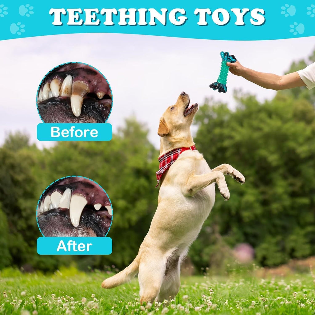 Nylon Dog Chew Bone for Aggressive Chewers – Super Tough Durable Dog Chew Toys for Medium & Large Breeds, Long-Lasting Indestructible Chew Bone for Power Chewers, Teeth Cleaning, Available in 1pc or 2pcs