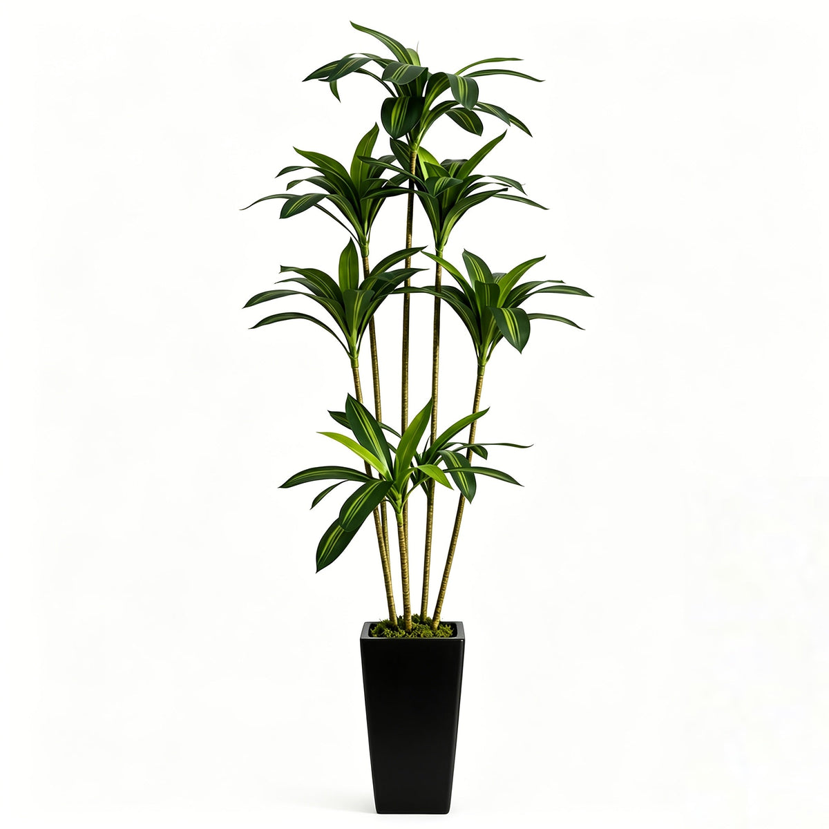 Artificial Dracaena Yucca Floor Plant in Pot 5FT & 6FT Faux Indoor Tree Adjustable Branches Artificial Moss No Maintenance for Home Office & Living Room Decor – Black & White Planter