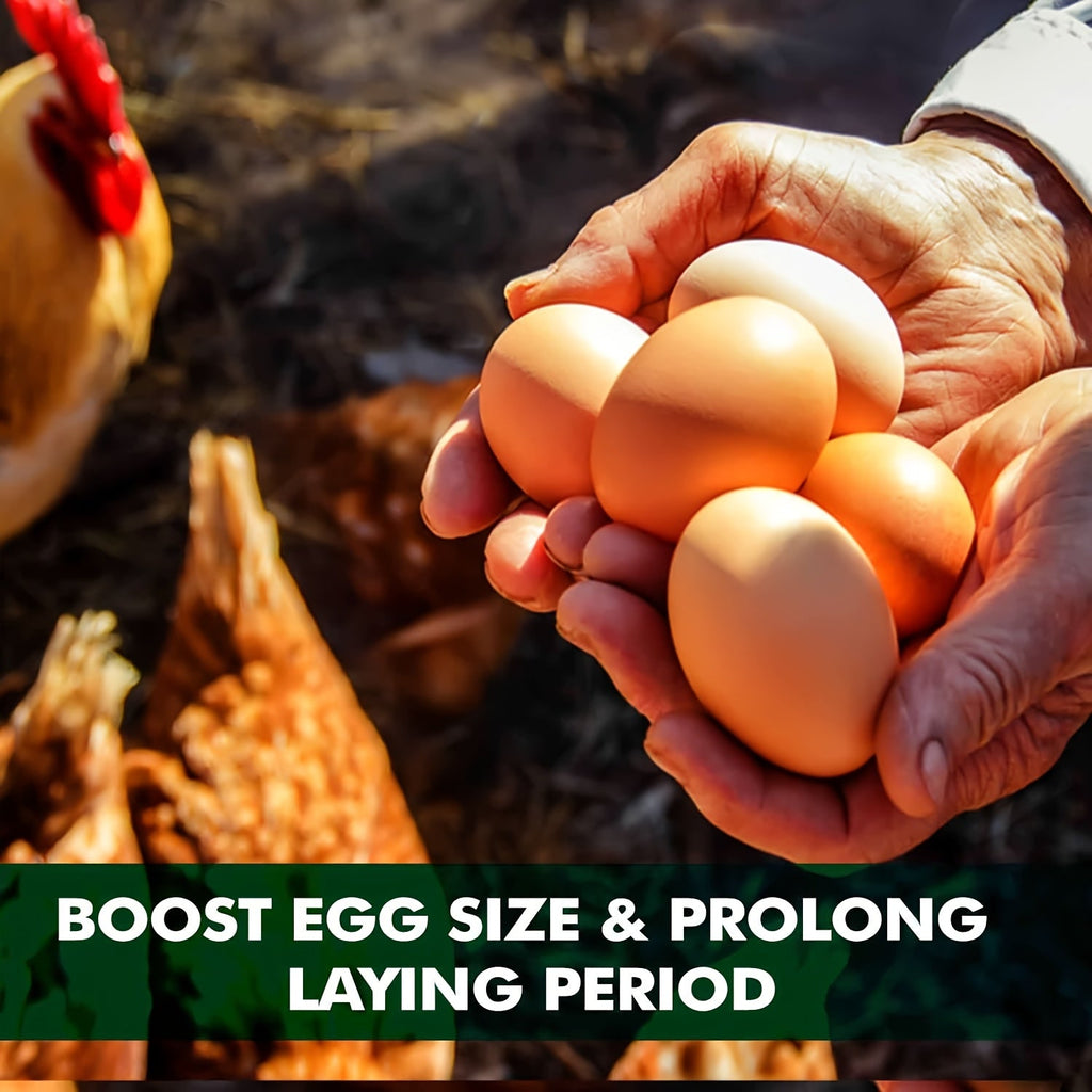 PROILGRUBS Dried Black Soldier Fly Larvae Chicken Treats – Non-GMO High-Protein Egg & Flock Builder, Stronger Eggshells & Feather Growth for Layers, Broilers, and Chicks, 5 to 33 LB Bulk Bags