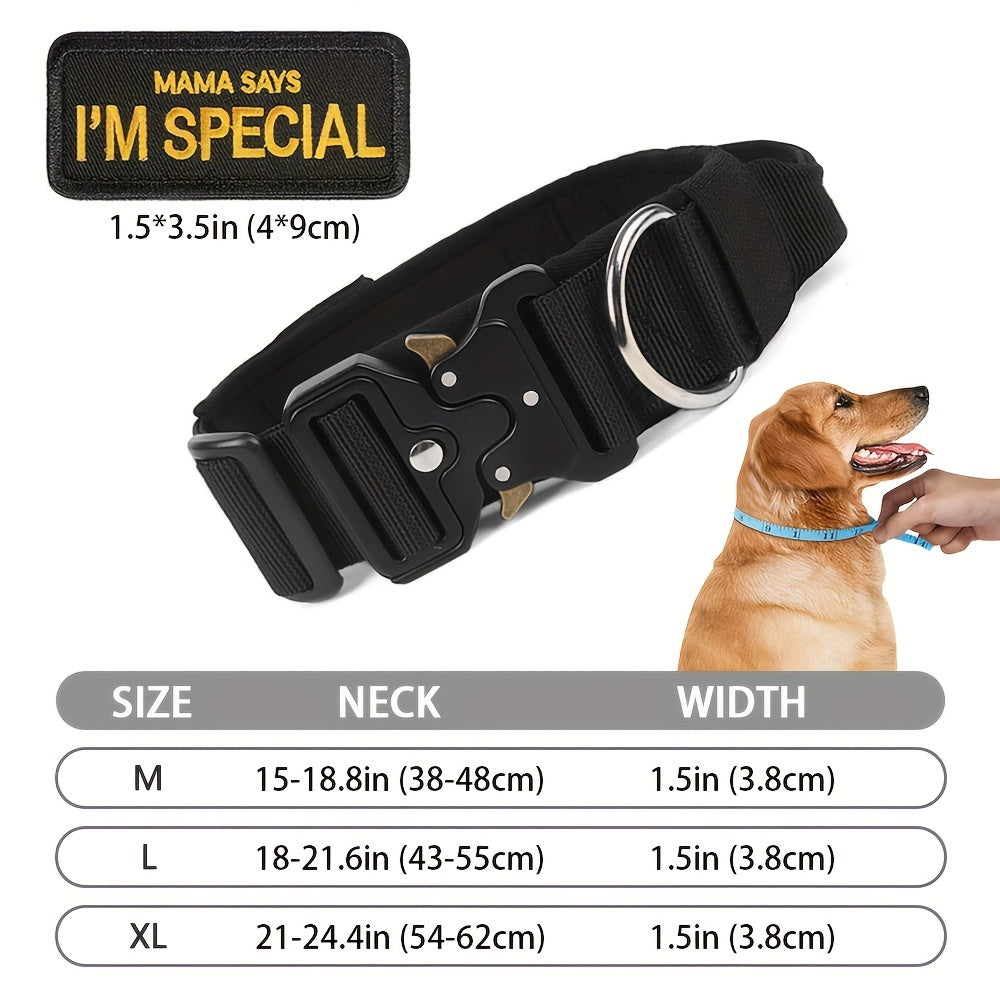 Tactical Dog Collar and Heavy Duty Elastic Leash Set for Medium and Large Dogs - High-Strength Metal Buckle Nylon Dog Collar, Stretchable Bungee Dog Leash, Outdoor Training and Walking Gear
