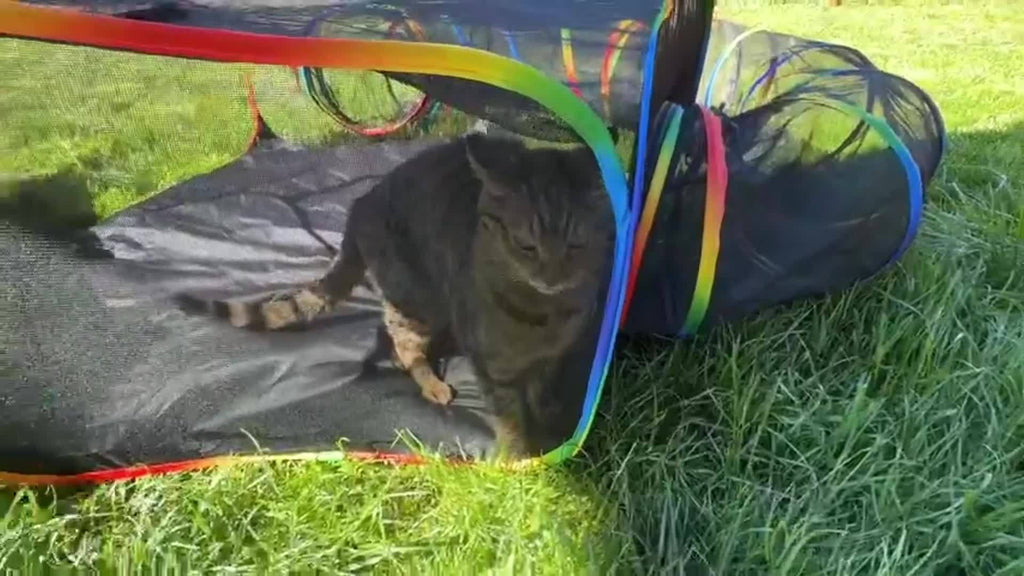 Rainbow Cat Playpen Outdoor Cat Enclosure with Circle Tunnel and Portable Pop-Up Tent, Foldable Cat Playground for Cats, Kittens, and Small Animals, Indoor/Outdoor Use