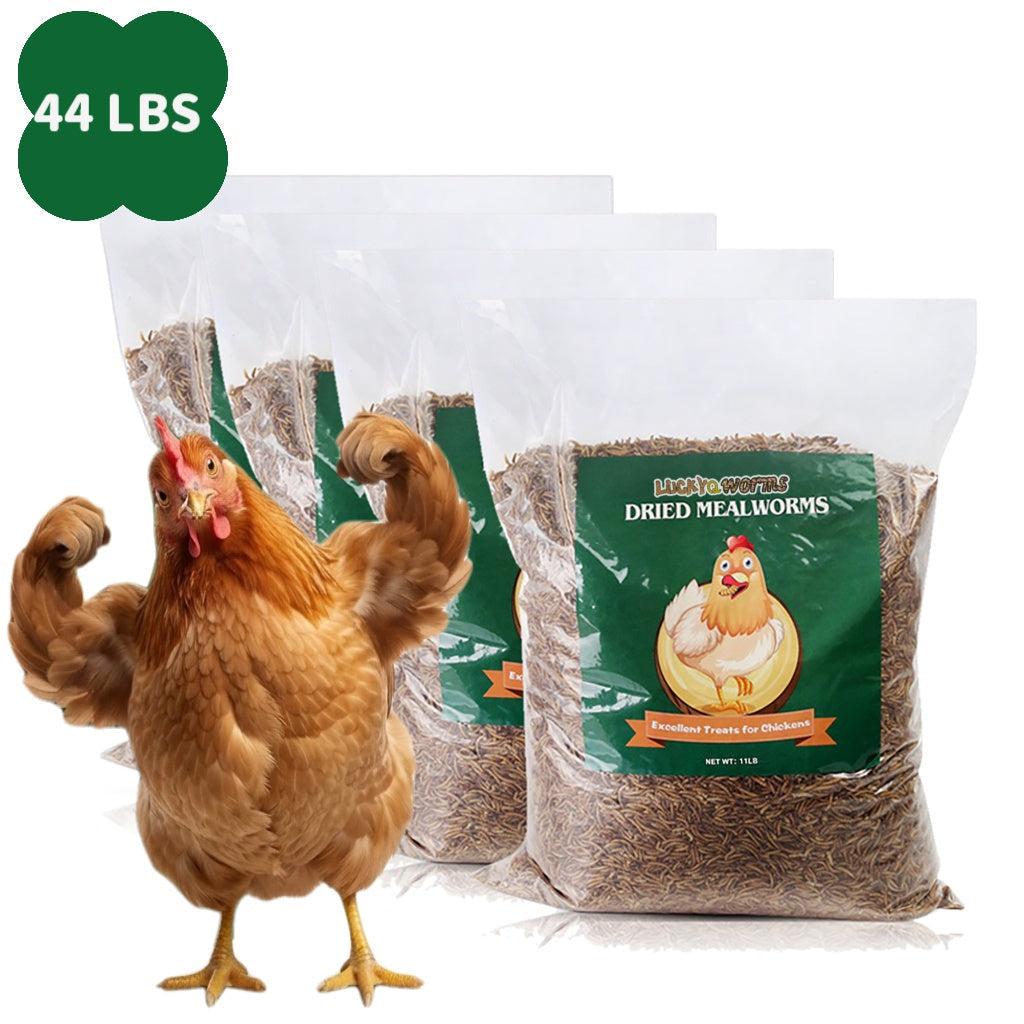 Dried Mealworms for Chickens, Wild Birds, and Ducks – High-Protein Natural Pet Food for Hens, Turtles, Fish, Lizards, and Hamsters, Non-GMO Dried Insect Animal Feed, Multiple Sizes 0.6–40 lbs