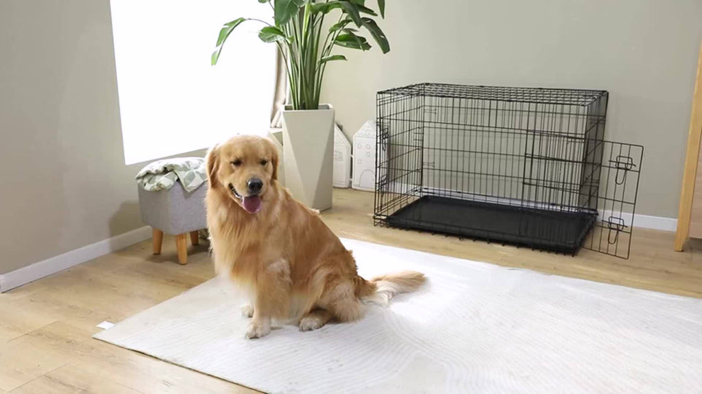 Foldable Double-Door Metal Wire Dog Crate with Divider Panel and Leak-Proof Tray, Indoor/Outdoor Travel Pet Kennel for Small, Medium, Large, and XL Dogs, 4 Sizes Available