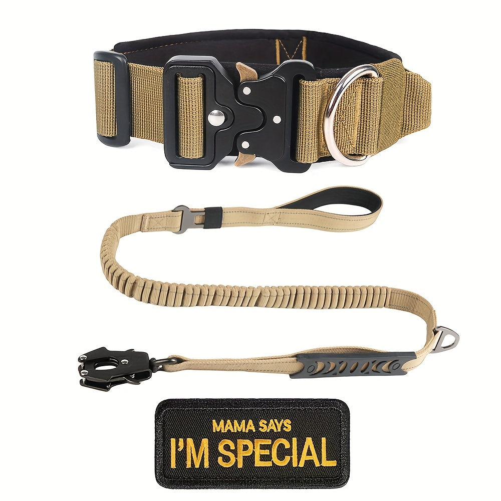 Tactical Dog Collar and Heavy Duty Elastic Leash Set for Medium and Large Dogs - High-Strength Metal Buckle Nylon Dog Collar, Stretchable Bungee Dog Leash, Outdoor Training and Walking Gear