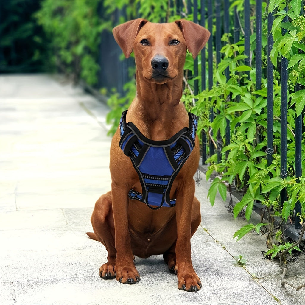 6-in-1 No-Pull Dog Harness & Leash Set – Reflective No-Choke Oxford Vest with Dual Leash Clips & Easy Control Handle for Small, Medium, and Large Dogs, 5 Colors, XS to XL