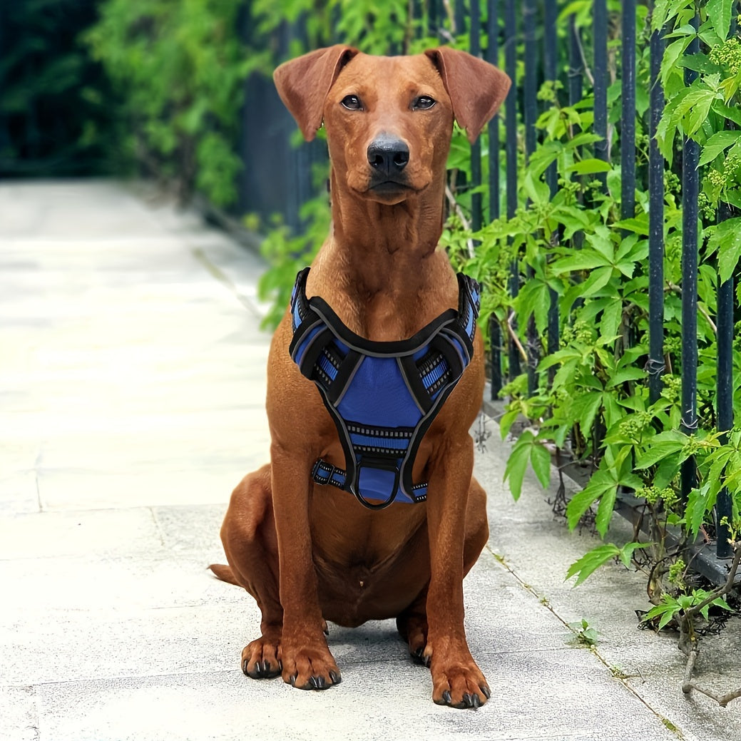 6-in-1 No-Pull Dog Harness & Leash Set – Reflective No-Choke Oxford Vest with Dual Leash Clips & Easy Control Handle for Small, Medium, and Large Dogs, 5 Colors, XS to XL