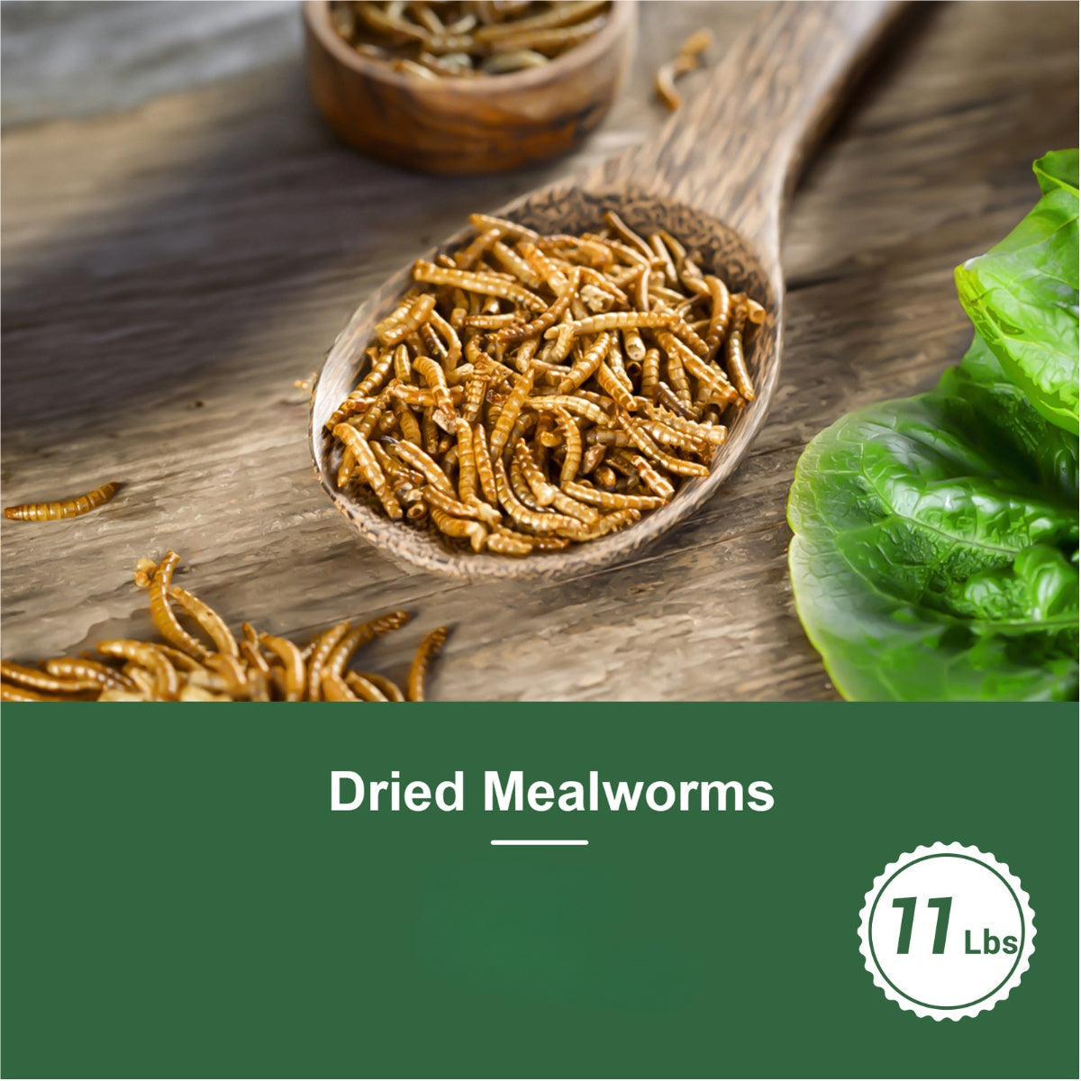 Dried Mealworms for Chickens, Wild Birds, and Ducks – High-Protein Natural Pet Food for Hens, Turtles, Fish, Lizards, and Hamsters, Non-GMO Dried Insect Animal Feed, Multiple Sizes 0.6–40 lbs
