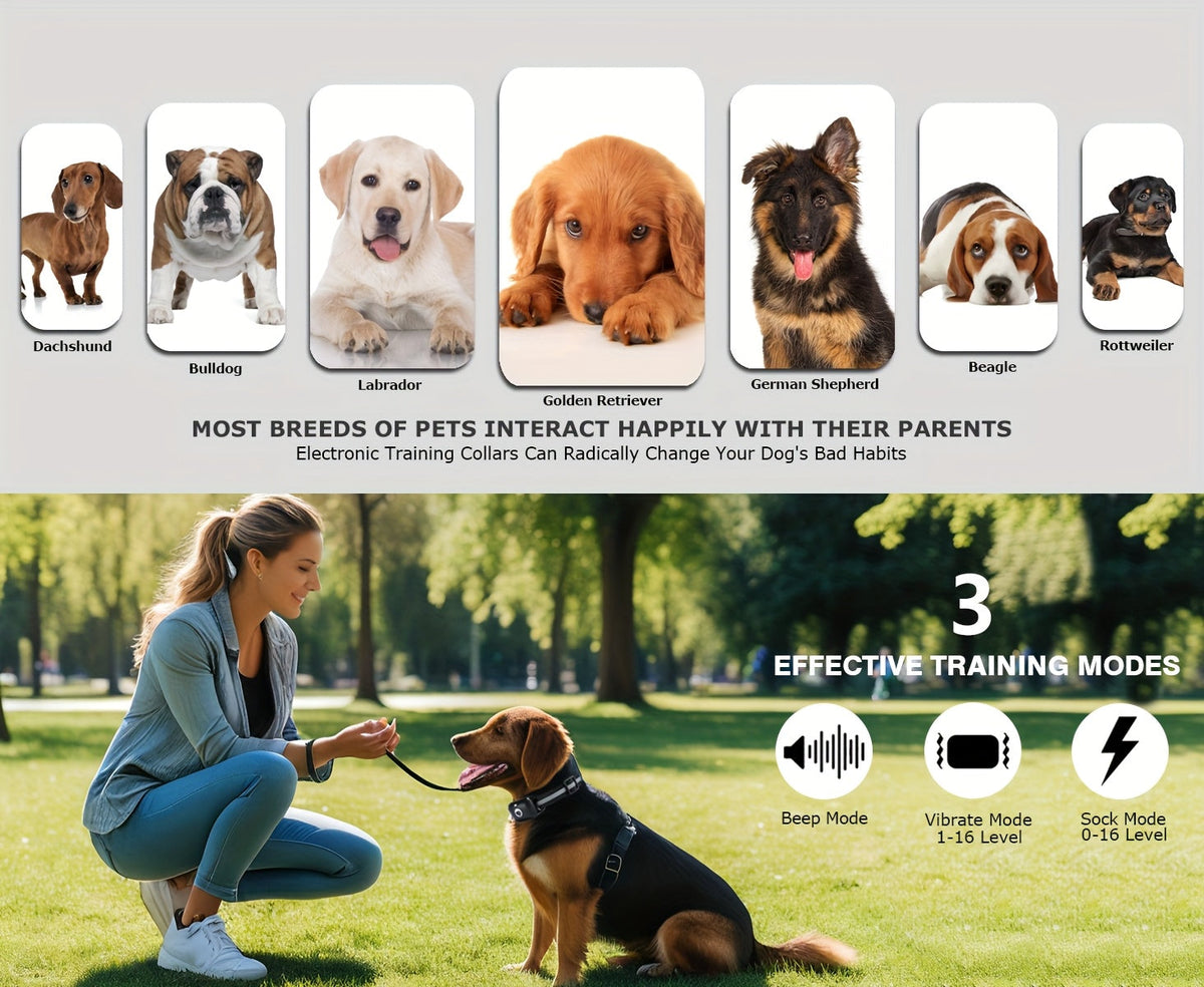 Dog Training Collar with Remote, 3 Training Modes (Beep, Vibration, Shock), E-Collar for Medium to Large Dogs, Smart Icon Remote Receiver Function