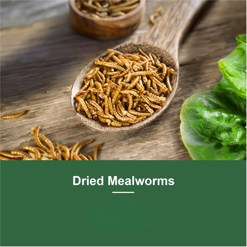 Dried Mealworms for Chickens, Wild Birds, and Ducks – High-Protein Natural Pet Food for Hens, Turtles, Fish, Lizards, and Hamsters, Non-GMO Dried Insect Animal Feed, Multiple Sizes 0.6–40 lbs