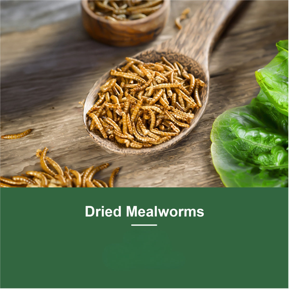 Dried Mealworms for Chickens, Wild Birds, and Ducks – High-Protein Natural Pet Food for Hens, Turtles, Fish, Lizards, and Hamsters, Non-GMO Dried Insect Animal Feed, Multiple Sizes 0.6–40 lbs