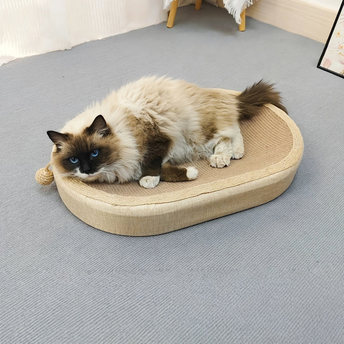 Large Oval Sisal Cat Scratching Board & Lounge Bed – 23.6 Inch Durable Scratch Pad with Sisal Toy Ball, No Assembly Needed, All-Season Cat Scratcher Mat for Indoor Cats to Play, Sleep, and Rest