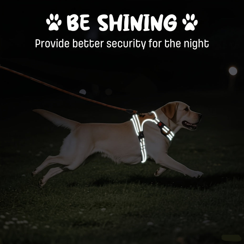 No-Pull Dog Harness Set with Retractable Leash, Seatbelt, and Collar – Fully Reflective, Adjustable, Breathable Vest Harness with Handle for Small & Large Dogs (XS–XL)