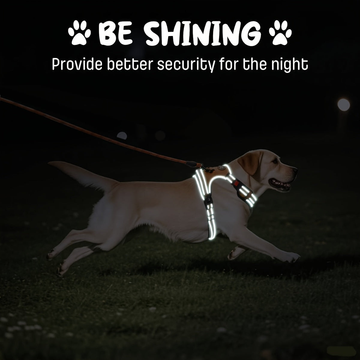 No-Pull Dog Harness Set with Retractable Leash, Seatbelt, and Collar – Fully Reflective, Adjustable, Breathable Vest Harness with Handle for Small & Large Dogs (XS–XL)