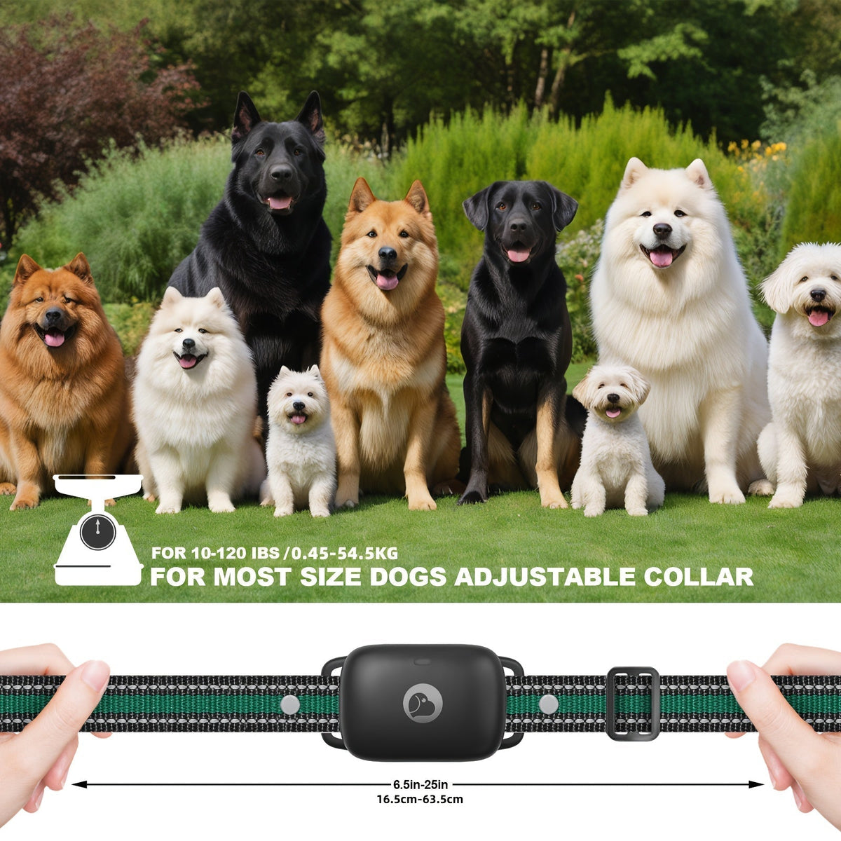 Dog Training Collar with Remote – IP68 Waterproof Rechargeable E-Collar for Small, Medium, and Large Dogs, 3 Safe Training Modes (Beep, Vibration, Shock), 1640ft Range, Black