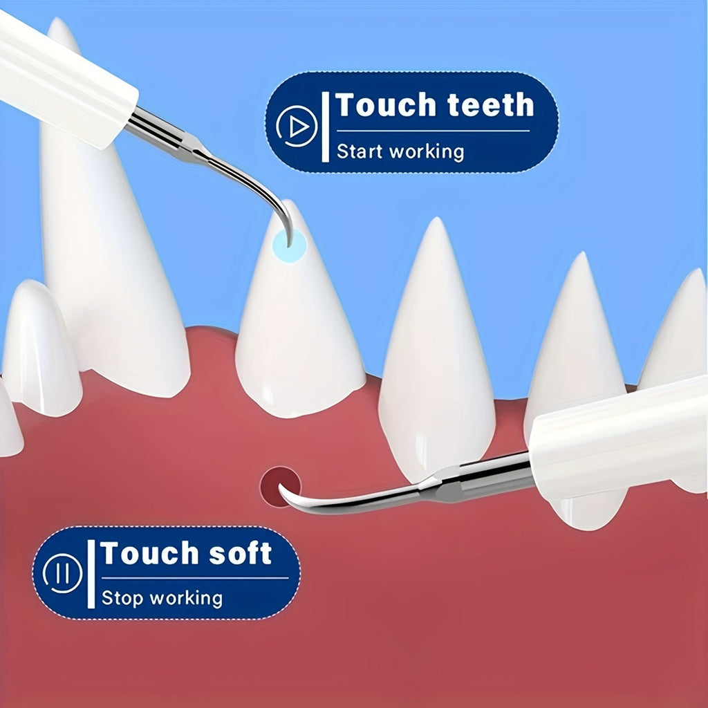 Electric Pet Teeth Cleaning Kit for Cats and Dogs, USB Rechargeable Tartar and Stain Remover with 4 Cleaning Heads and 5 Modes - Dental Care Tool for Pets