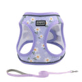 No-Pull Dog Harness and Leash Set for Small to Medium Dogs - Soft Mesh Reflective Adjustable Puppy Vest Harness for Walking, Running, and Training, Escape-Proof Pet Harness