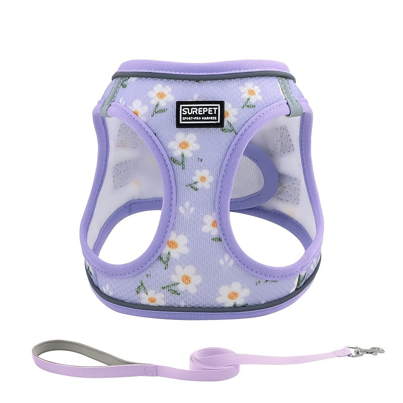 No-Pull Dog Harness and Leash Set for Small to Medium Dogs - Soft Mesh Reflective Adjustable Puppy Vest Harness for Walking, Running, and Training, Escape-Proof Pet Harness