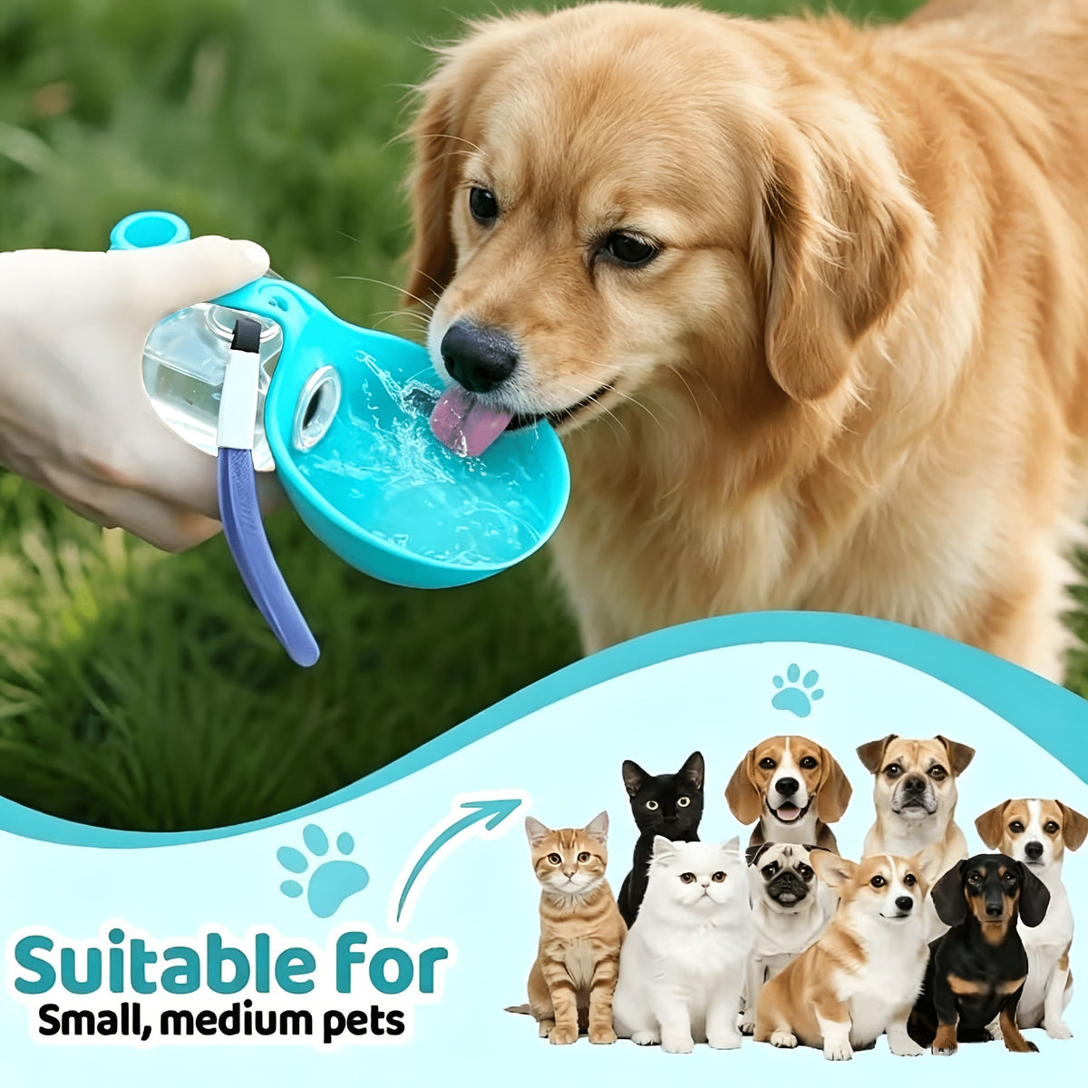 便携式宠物饮水杯防摔挂绳款——犬猫通用防漏球形透明旅行水杯，海盐蓝高颜值设计，轻便户外补水神器