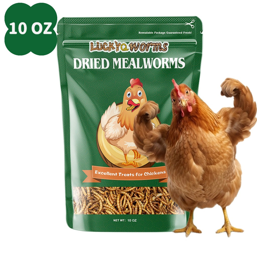 Dried Mealworms for Chickens, Wild Birds, and Ducks – High-Protein Natural Pet Food for Hens, Turtles, Fish, Lizards, and Hamsters, Non-GMO Dried Insect Animal Feed, Multiple Sizes 0.6–40 lbs