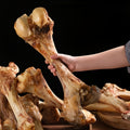Long-Lasting Beef Bone Dog Chews, Large Beef-Flavored Chew Bones for Medium and Large Dogs, Natural Daily Reward Treats for Indoor and Outdoor Snacking, Pet Dental Chews