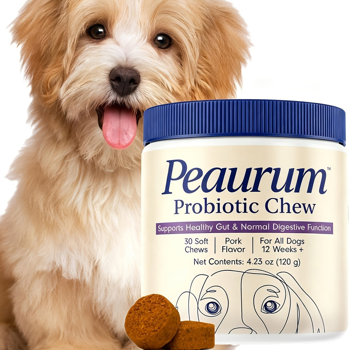 Probiotics for Dogs 60 Softgels Natural Plant-Based Formula Supports Gut Health, Digestion, and Seasonal Allergy Relief - 120g (1-Pack or 2-Pack)