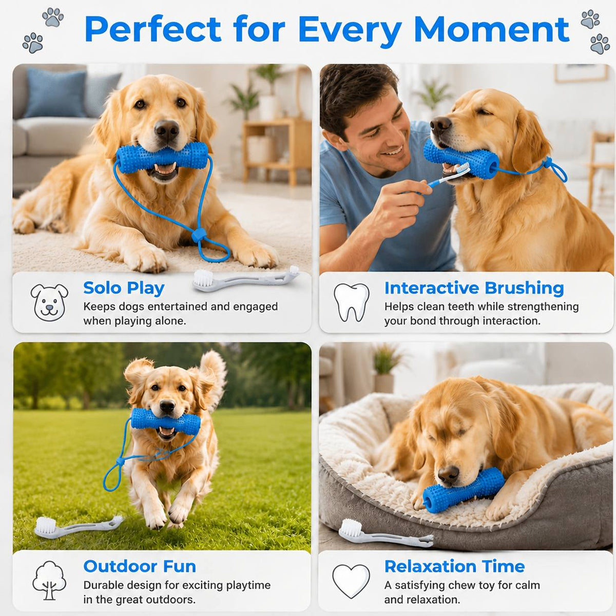 Dog Teething Chew Stick and Teeth Cleaning Brush Set 2-Pack - Durable Chewable Dog Toothbrush with Mouth-Open Strap for Easy Brushing, Dual-Purpose Dental Care Toy for Dogs, Random Color