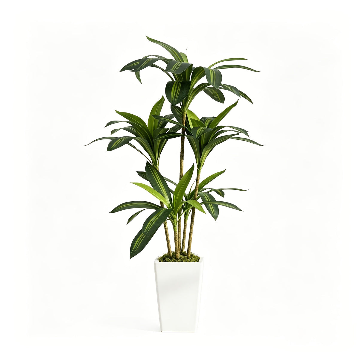 Artificial Dracaena Yucca Floor Plant in Pot 5FT & 6FT Faux Indoor Tree Adjustable Branches Artificial Moss No Maintenance for Home Office & Living Room Decor – Black & White Planter