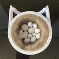 鸟类繁殖窝巢套件（适用于鸟笼）——悬挂式塑料鸟屋，配有稳固安装支架及柔软内垫，专为虎皮鹦鹉、玄凤鹦鹉、爱情鸟等小型鸟类繁殖与筑巢设计