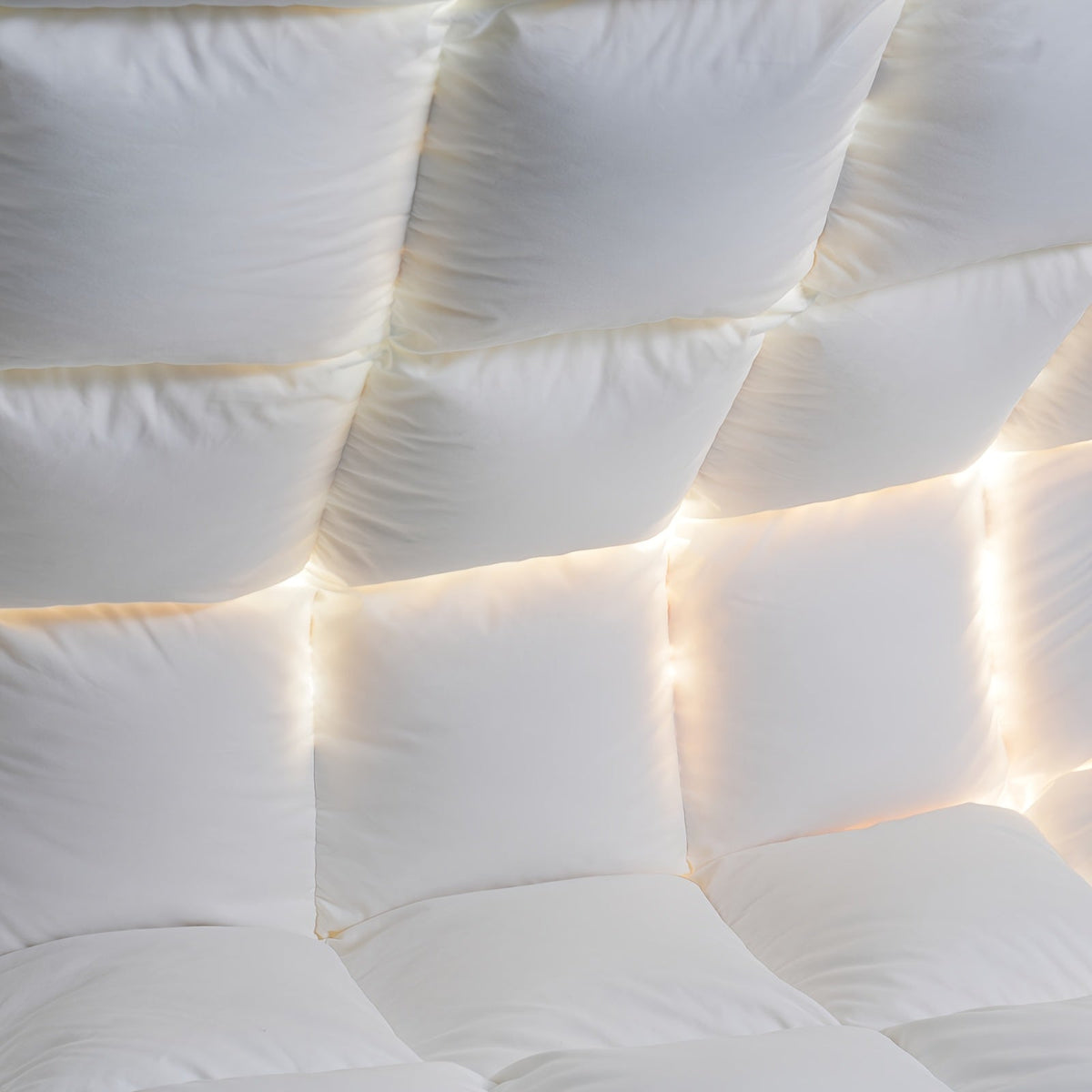 Premium Goose Down Duvet – 100% Egyptian Cotton All-Season Comforter Insert Soft Breathable with Gold Trim & 8 Corner Loops in Twin Queen King Cal King Oversized King