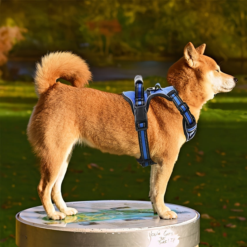 6-in-1 No-Pull Dog Harness & Leash Set – Reflective No-Choke Oxford Vest with Dual Leash Clips & Easy Control Handle for Small, Medium, and Large Dogs, 5 Colors, XS to XL