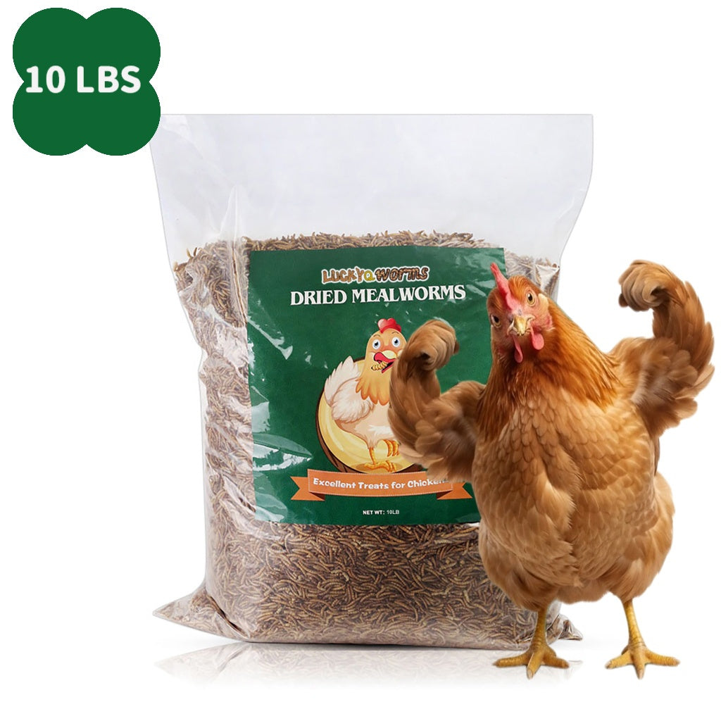 Dried Mealworms for Chickens, Wild Birds, and Ducks – High-Protein Natural Pet Food for Hens, Turtles, Fish, Lizards, and Hamsters, Non-GMO Dried Insect Animal Feed, Multiple Sizes 0.6–40 lbs