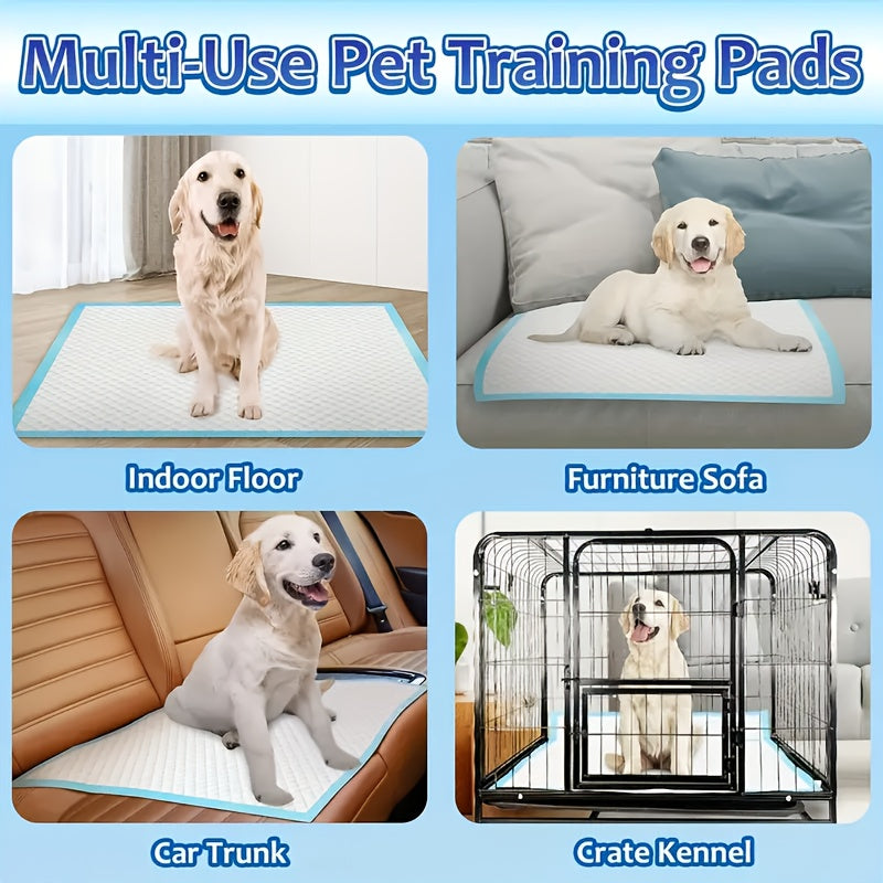 XXXL Disposable Dog Pee Pads 6-Layer Super Absorbent - Waterproof Odor-Resistant Training Pads for Small, Large, and Elderly Dogs, Bulk 80 & 100 Count, Leak-Proof Puppy Potty Pads