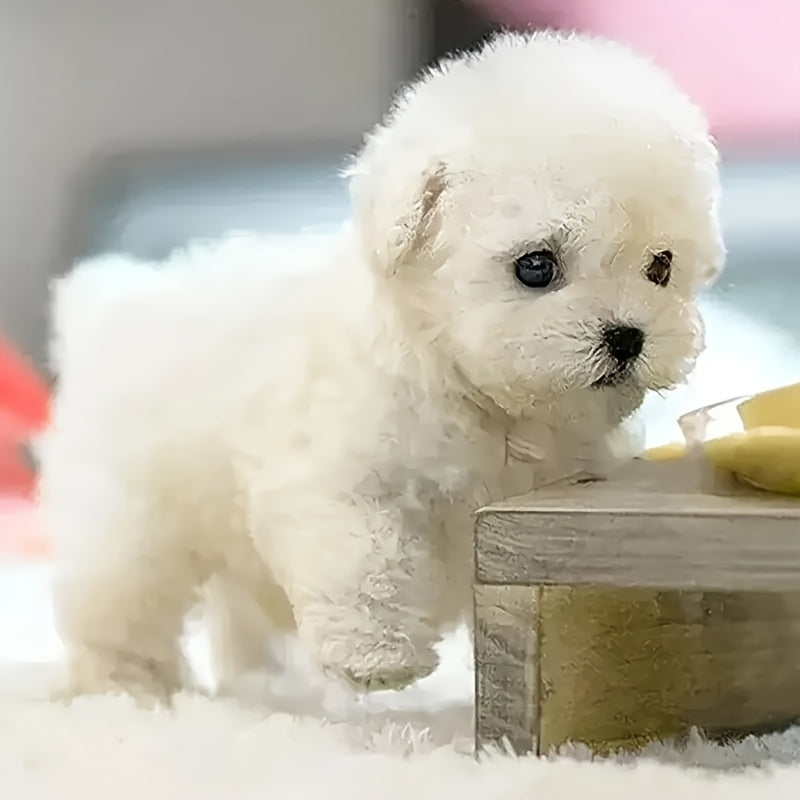Interactive Robotic Plush White Labrador Puppy Toy: Walks, Barks, and Wags Tail, Realistic Electronic Pet Dog in Gift Box, Birthday or Christmas Holiday Gift for Boys and Girls Ages 3 and Up