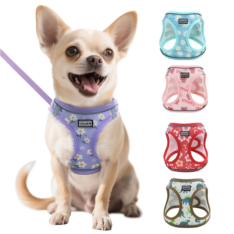 No-Pull Dog Harness and Leash Set for Small to Medium Dogs - Soft Mesh Reflective Adjustable Puppy Vest Harness for Walking, Running, and Training, Escape-Proof Pet Harness