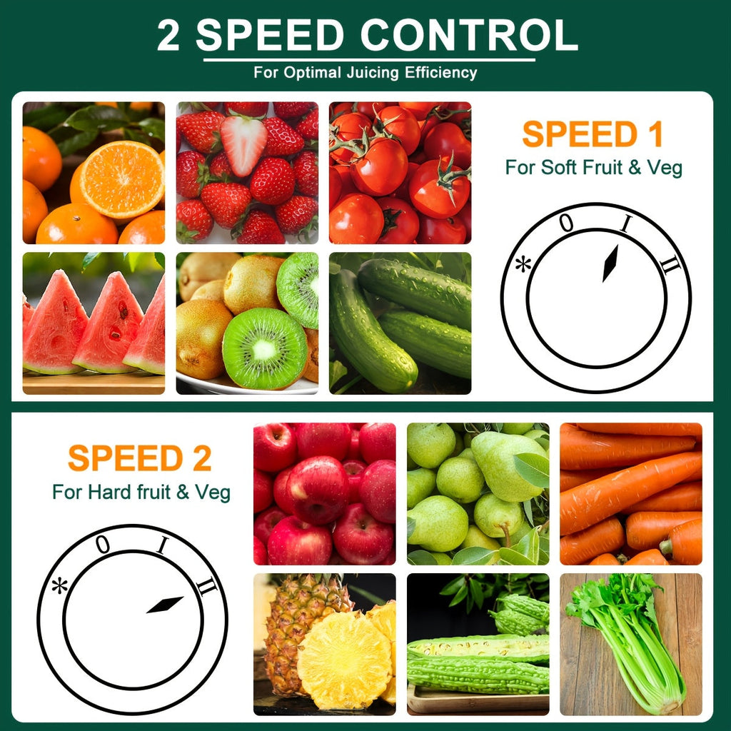 500W Centrifugal Juicer Machine - 3" Feed Chute, Dual Speed, 304 Stainless Steel, Dishwasher-Safe Detachable Parts, High Juice Yield - Fruits & Vegetables - Grey & Black