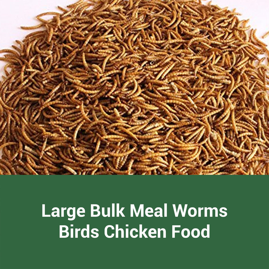 Dried Mealworms for Chickens, Wild Birds, and Ducks – High-Protein Natural Pet Food for Hens, Turtles, Fish, Lizards, and Hamsters, Non-GMO Dried Insect Animal Feed, Multiple Sizes 0.6–40 lbs