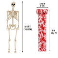 5.4Ft Life-Size Adjustable Human Adult Skeleton - Plastic Bones, Movable Joints - Halloween Decoration & Haunted House Prop